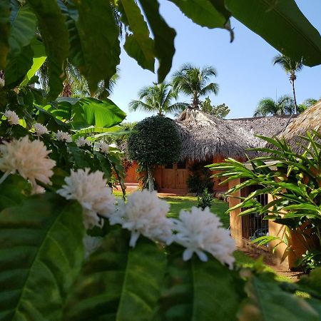 Bed and Breakfast Solazul Las Galeras Exterior foto
