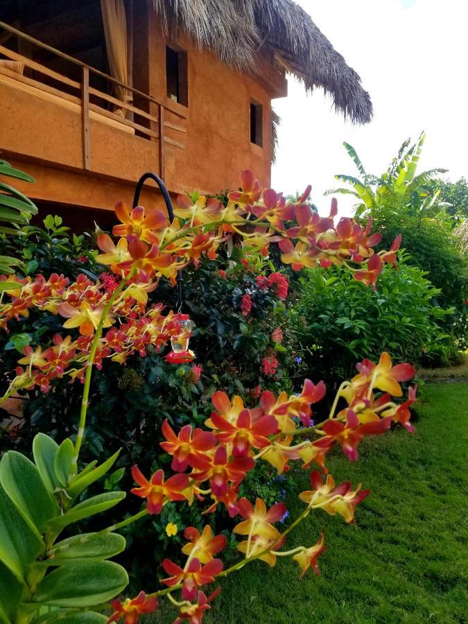 Bed and Breakfast Solazul Las Galeras Exterior foto