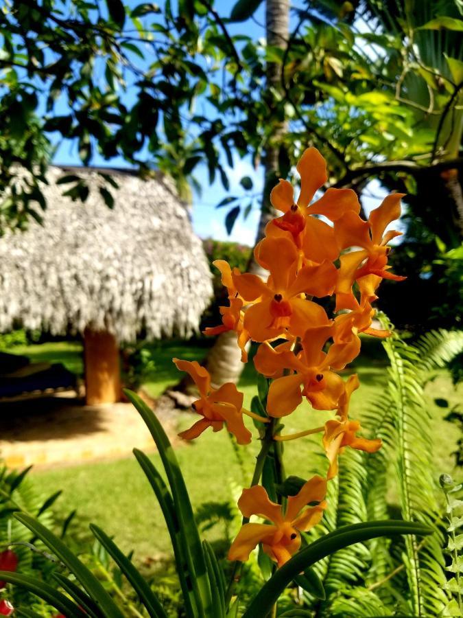 Bed and Breakfast Solazul Las Galeras Exterior foto