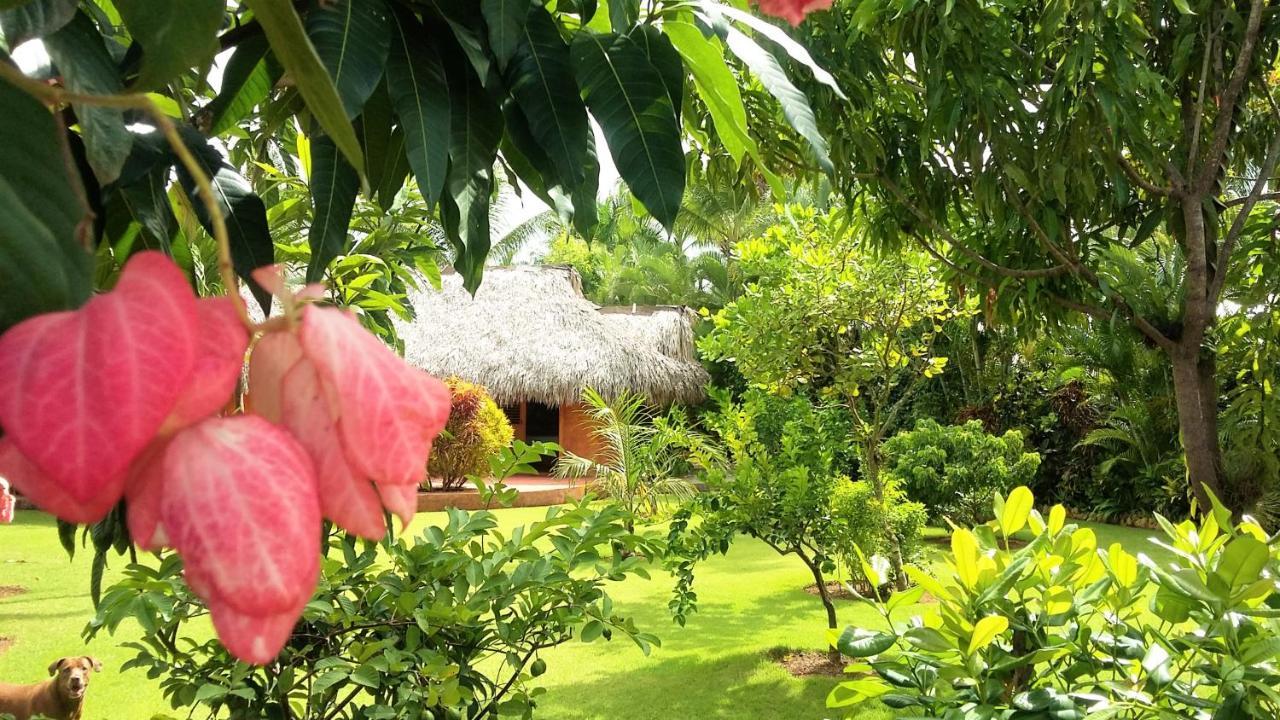 Bed and Breakfast Solazul Las Galeras Exterior foto