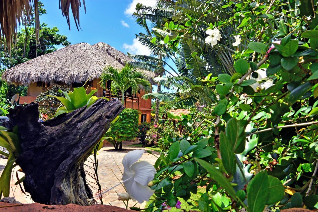 Bed and Breakfast Solazul Las Galeras Exterior foto