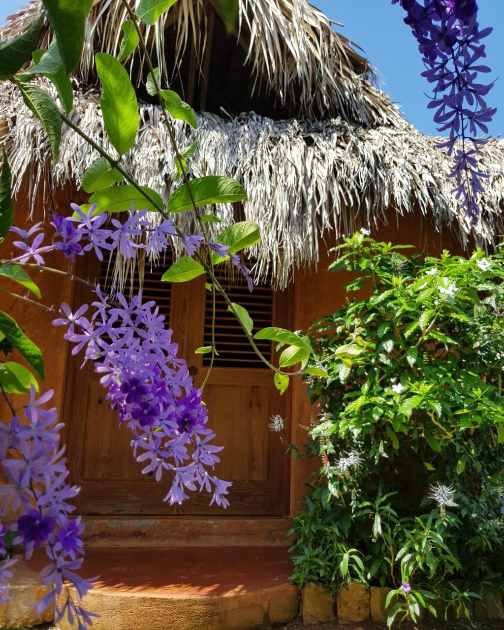Bed and Breakfast Solazul Las Galeras Exterior foto